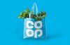NorthDesign Co op Bag
